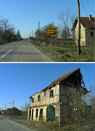 <span class="mw-page-title-main">Živaja</span> Village in Banija, Croatia
