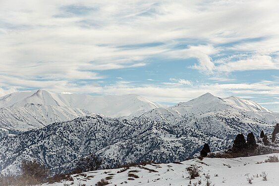 46. Ugom Chatkal State National Natural Park author - NatalikUz