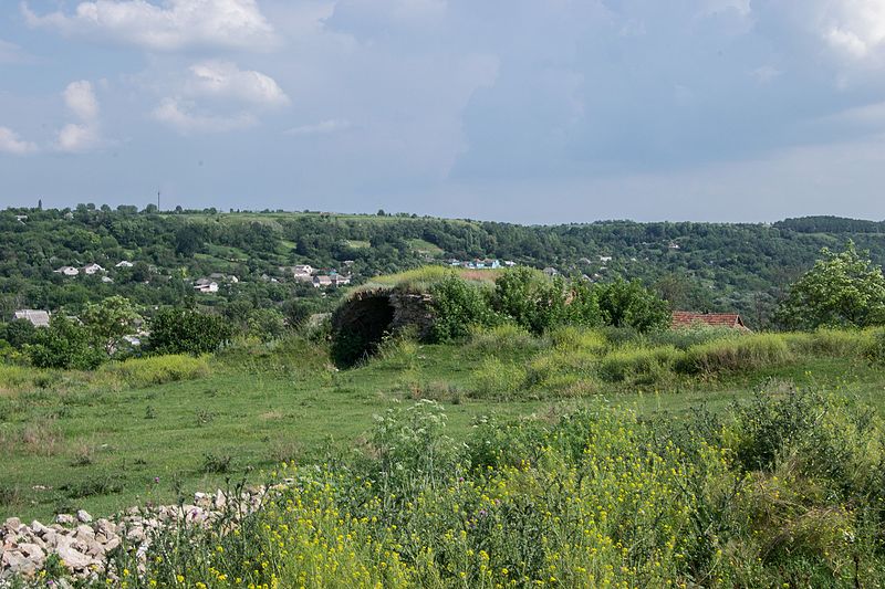 File:Озаринці - замок.jpg