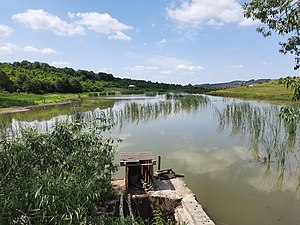 Ставок біля Параївки