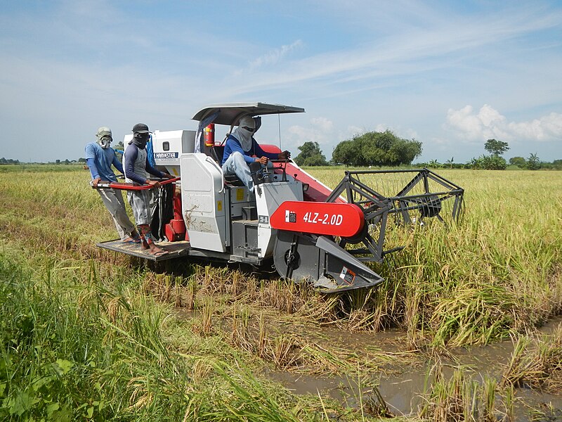 File:06872jfSalapungan Highway Maluid Bulo Baculong Victoria Tarlacfvf 22.JPG