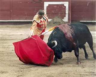 <span class="mw-page-title-main">Cristina Sánchez</span> Spanish bullfighter