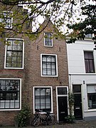 Pinkelhoorn