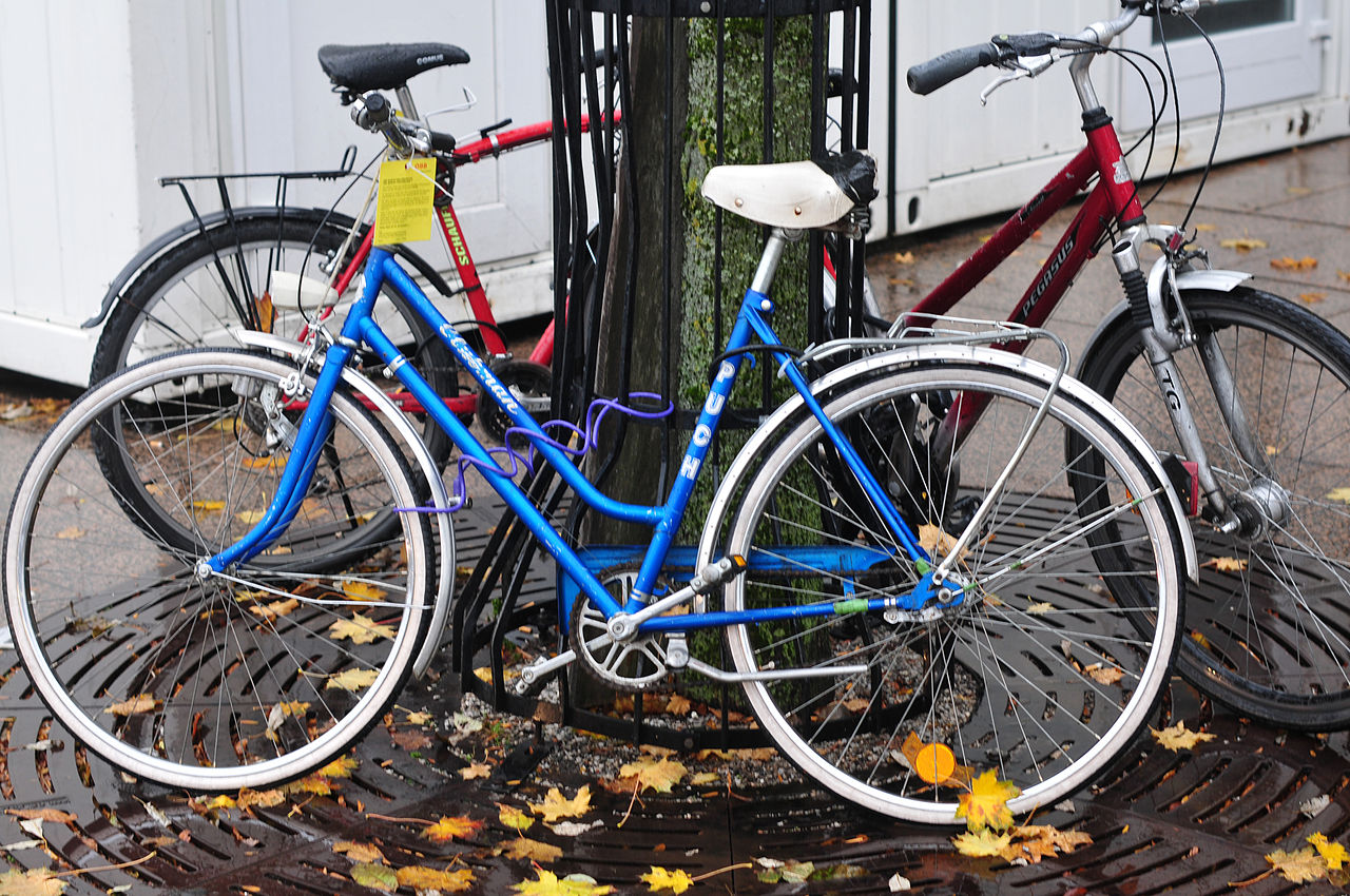 File121102fahrradsalzburg16.jpg Wikimedia Commons