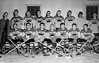 1947–48 Michigan Wolverines mens ice hockey season Sport season