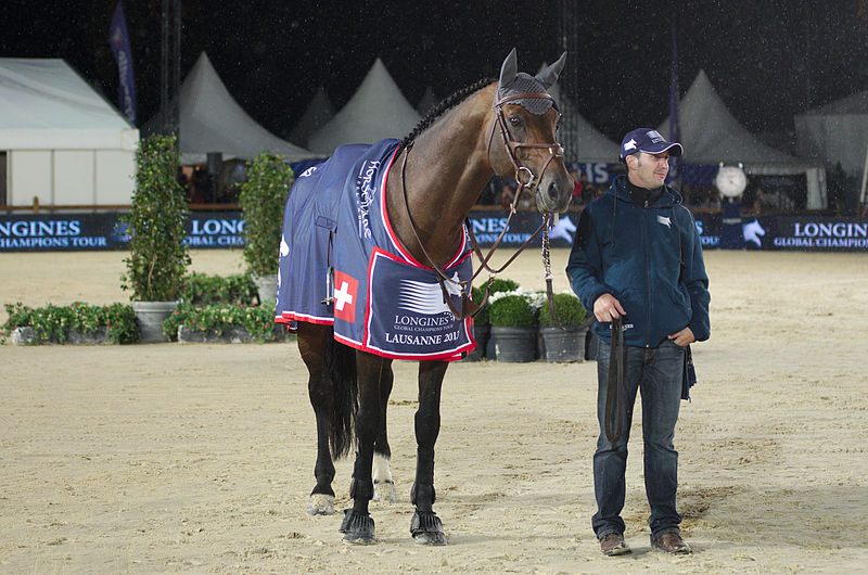 File:2013 Longines Global Champions - Lausanne - 14-09-2013 - Carinjo HDC.jpg