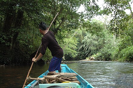 Canoe adventure in Borneo