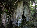 2017年7月17日 (月) 10:36時点における版のサムネイル