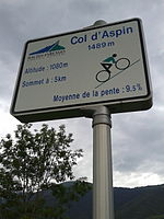 Summer 2015 2015 Mountain pass cycling milestone - Col d Aspin Arreau.jpg