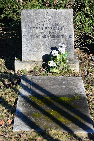 File:2016-02-06 GuentherZ Wien11 Zentralfriedhof Russischer Heldenfriedhof (08).JPG