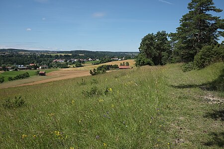 2016 07 09 Silberberg (Enzkreis) 10