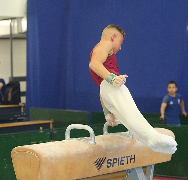 File:2019-05-25 Budapest Cup age group I all-around competition pommel horse (Martin Rulsch) 044.jpg