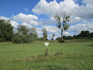 Wusterhang und Beierwies bei Fechingen