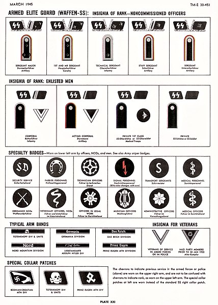 File:21 article-hdbk-TM-E-30-451 Page 895 Handbook on German military forces US War Dep March 1945--XXI Armed Elite Guard Waffen-SS Rank insignia (NCOs EM) Specialty badges Arm bands Veterans etc. No known copyright. Contrast.jpg