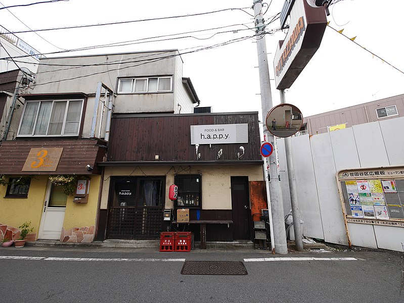 File:3 Chome Kitazawa, Setagaya-ku, Tōkyō-to 155-0031, Japan - panoramio (152).jpg