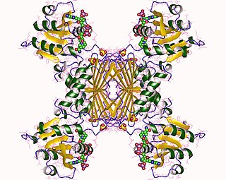 <span class="mw-page-title-main">4-hydroxy-tetrahydrodipicolinate reductase</span> InterPro Family