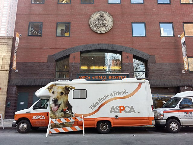 File Aspca Building Jpg Wikimedia Commons