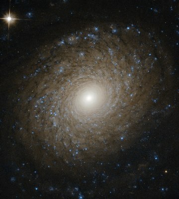 NGC 2985