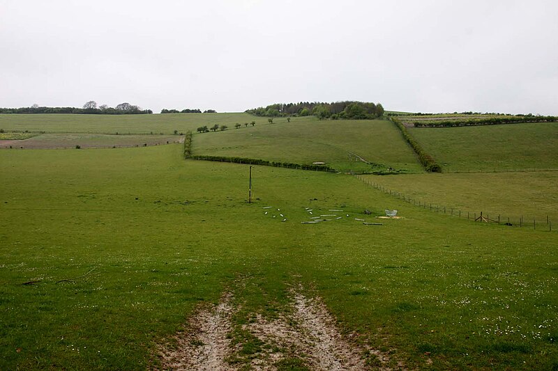 File:A field on Thurle Down - geograph.org.uk - 3025378.jpg