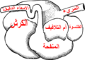 تصغير للنسخة بتاريخ 13:12، 28 يناير 2023