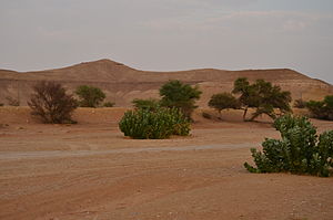 Provincia di Riad