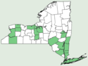 Allium vineale NY-dist-map.png