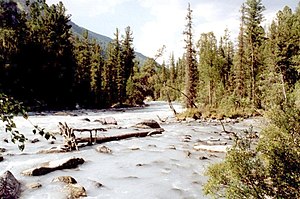 Fluss: Einordnung und Abgrenzung, Quantitative Merkmale von Flüssen, Abflussregime