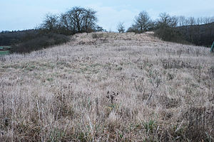 West side of the tower hill