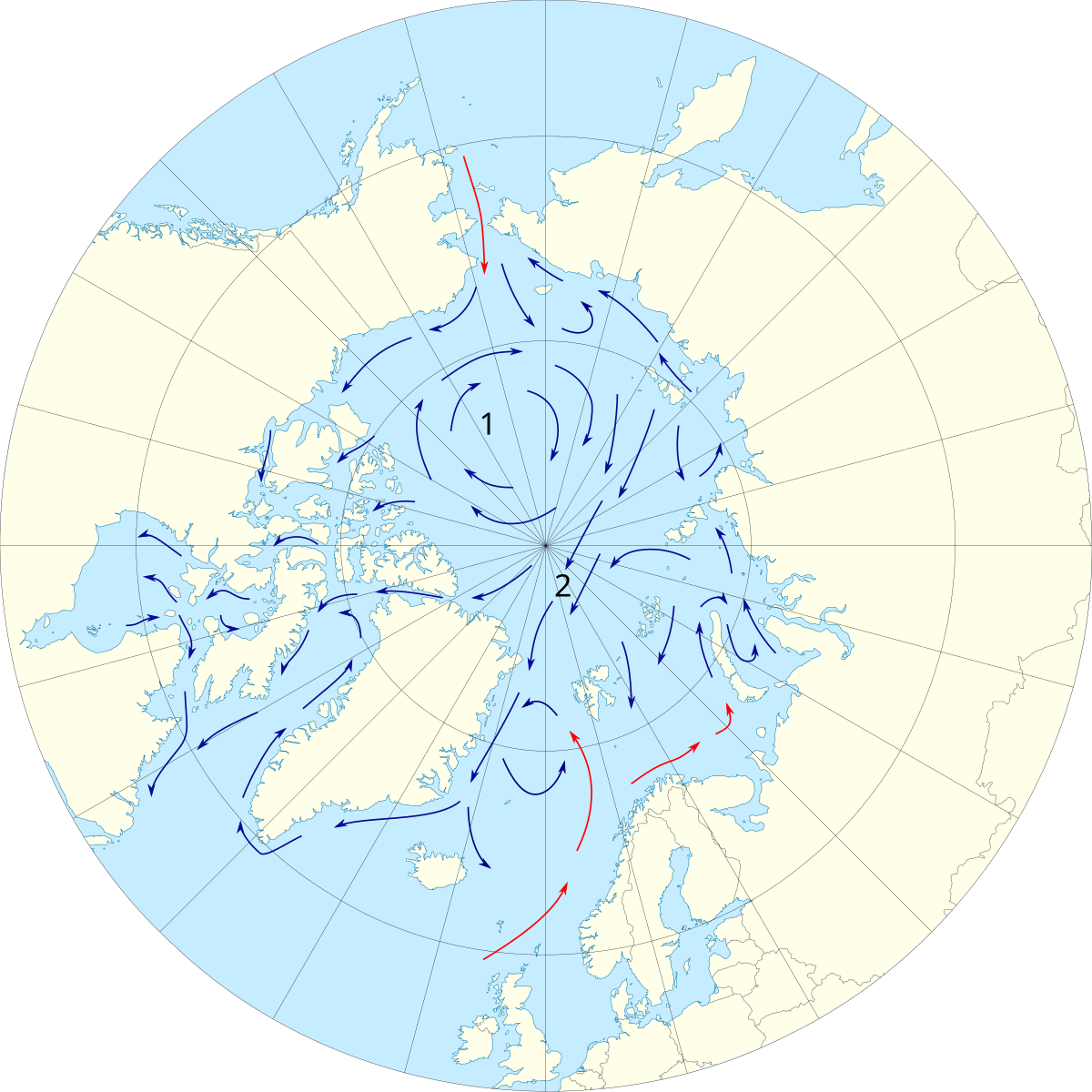 Холодное течение северо ледовитого океана. Течения Северного Ледовитого океана на карте. Северный Ледовитый океан на карте. Течения Северного Ледовитого океана. Течения Северного Ледовитого океана теплые и холодные на карте.