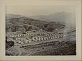 A camp of the British Indian Army near the Khyber Pass (c. 1920)