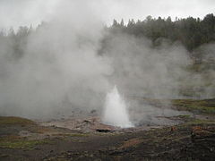 Artesia Geyser (Yellowstone NP).jpg