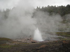 Artesia Geyser