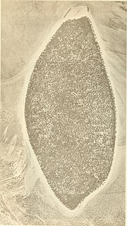 Thumbnail for File:Atoll research bulletin (1977) (19723296834).jpg