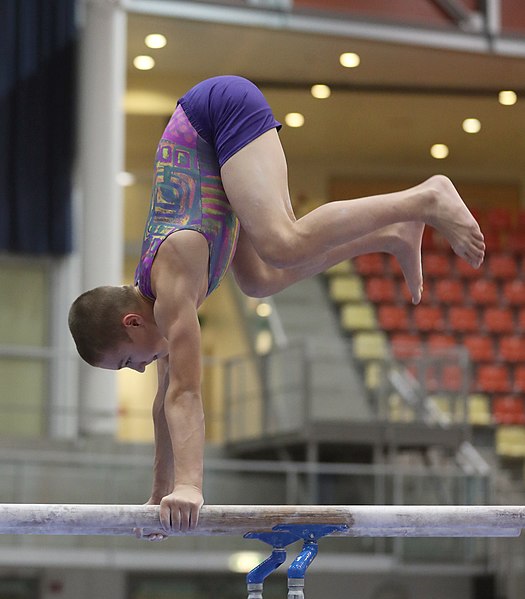 File:Austrian Future Cup 2018-11-23 Training Afternoon Parallel bars (Martin Rulsch) 0233.jpg