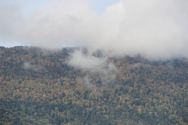 File:Autumn colours on the Crêt d'Eau - panoramio.jpg
