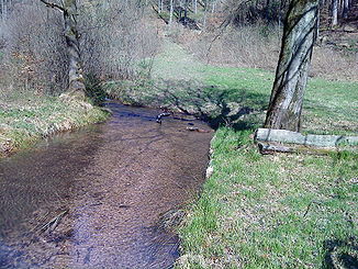 The Bächlesbach in the Spessart meadows