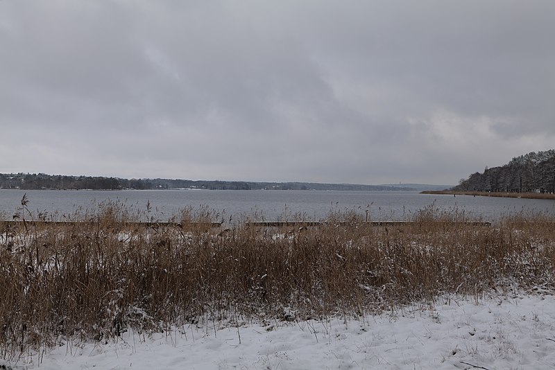 File:Bank of Wannsee at Düppeler Forst with snow 2021-01-30 08.jpg