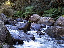 Barrinton River