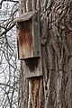 Small bat house