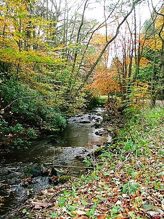 <span class="mw-page-title-main">Bedburn Beck</span> Upper tributary of the River Wear in County Durham, England