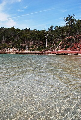 Beowa National Park Chandra.jpg