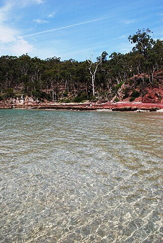 <span class="mw-page-title-main">Pambula Beach, New South Wales</span> Town in New South Wales, Australia