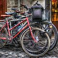 Bicicletas (24970452001).jpg