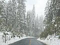 * Nomination Big Oak Flat Road, Yosemite. --King of Hearts 20:14, 6 June 2020 (UTC) * Promotion Good quality. --Moroder 19:29, 14 June 2020 (UTC)