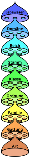 Biological classification de