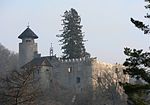 Vignette pour Burg Birseck