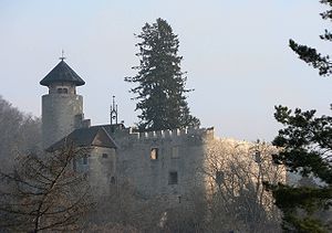 Birseck Castle