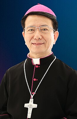 Chân dung chính thức Giám mục Kiều Công Tùng