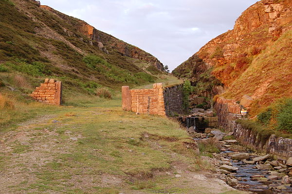 Black Brook - a tributary at White Coppice