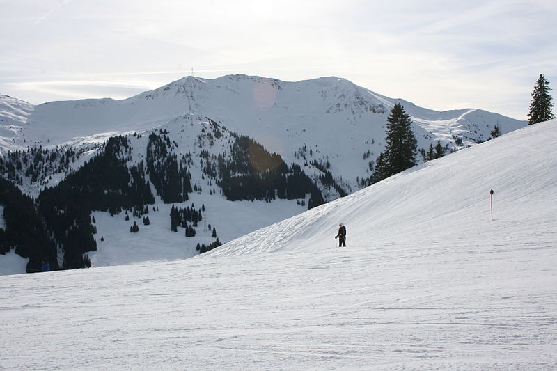 File:Blue run 11, Hinterglemm (8449222626) (2).jpg